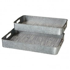 Foundry Select Galvanized 2 Piece Accent Tray Set FNDS1001